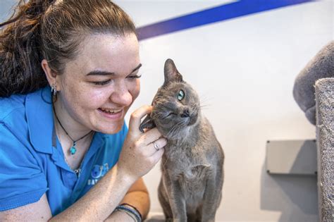 Battersea Dogs & Cats Home .